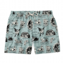 THE DUDES BEELZEBUD BLUES SWIM SHORT MULTICOLOR