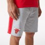NEW ERA CHICAGO BULLS SIDE PANEL GREY SHORTS